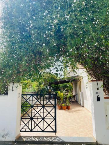 Ingresso di Villa Maria a Furnari con vialetto fiorito